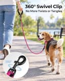 Rope Dog Leash for Medium and Large Dogs