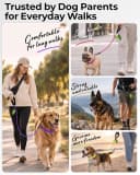 Rope Dog Leash for Medium and Large Dogs