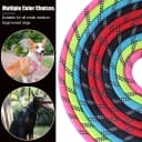 2 Pack Dog Leash — Heavy Duty Nylon Rope Pet Leashes