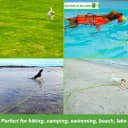 Floating Long Dog Leash — 20ft Dog Training Leash for Swimming and Lake