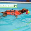 Floating Long Dog Leash — 20ft Dog Training Leash for Swimming and Lake