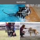 Waterproof Long Leash Durable Dog Recall Training Lead Great for Outdoor Hiking — Training