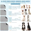 Washable Pee Pad for Dogs — 2 Pack Large Reusable Puppy Pads