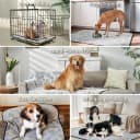 Reusable Puppy Pads — Washable Pee Pads