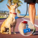 80 Pcs Dog Poop Bag Dispenser with Dog Waste Bags