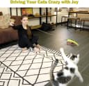 Cat Toys for Indoor Cats — Interactive Cat Toy 2PCS Retractable Wand Toy and 9PCS Cat Feather Toys Refills