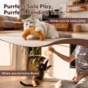 Plush Bread Catnip Toys for Indoor Cats 6 Pack
