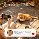 Plush Fall Catnip Toys for Indoor Cats 6 Pack — Pumpkin Shape
