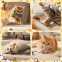 Cat Toys Bulk Plush Mice Set Fish for Indoor Kittens and Puppies
