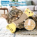 Catnip Cat Toys Pillows for Indoor Kittens Kicker Chew — 9.45 Inches