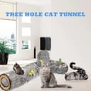 Cat Tunnel — Cat Tunnels for Indoor Cats
