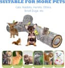 Cat Tunnel — Cat Tunnels for Indoor Cats