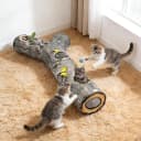 Cat Tunnel — Cat Tunnels for Indoor Cats