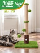 Funny Cat Scratching Posts Sturdy Scratcher Posts — 33''