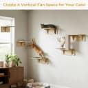 2-in-1 Cat Window Perch and Wall Shelves