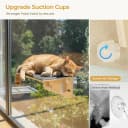2-in-1 Cat Window Perch and Wall Shelves