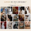 Breakaway Cat Collar with Bell for Kittens and Cats