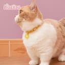 2 Pack Cotton Breakaway Cat Collar with Bell Yellow&Green Flowers Pendant Cute Kitten Cat Collar Suited to