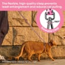 Adjustable Cat Harness and Leash Set — Escape Proof
