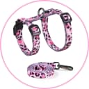 Adjustable Cat Harness and Leash Set — Escape Proof