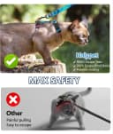 Cat Harness and Leash Set — Escape Proof Cat Harnesses
