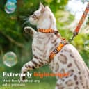 Cat Harness and Leash Set — Adjustable Pet Straps