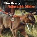 Cat Harness and Leash Set — Adjustable Pet Straps