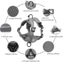 Cat Chest Harness and Leash Set Adjustable Anti-Escape Soft Mesh Cat Vest for Walking Outdoor(Blcak