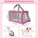 Pet Carrier for Large Cats of 20 Lbs