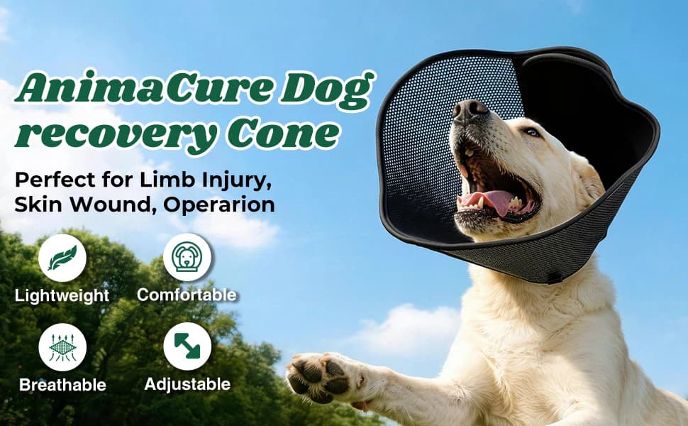 Soft Dog Cone Collar — Adjustable Elizabethan Anti-Lick Pet Recovery Collar — product details