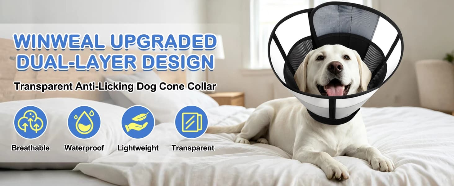 Dog Cone to Stop Licking — Soft Dog Cone Collar Alternative After Surgery — Dog Cone--- Your Pet Deserves the Best
