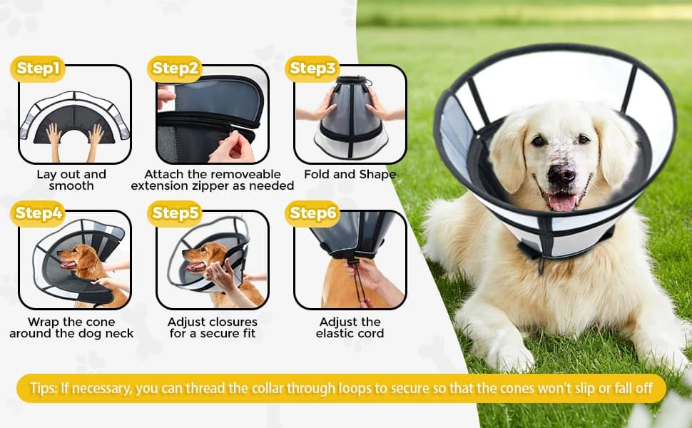 Soft Transparent Dog Cone Collar — Depth Adjustable Recovery Cone — product details