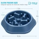 Slow Feeder Dog Bowl — Anti-Chocking Slower Feeding Pet Puzzle Bowls