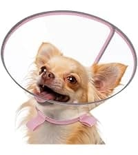 Dog Cone to Stop Licking — Clear Recovery Collar with Detachable Zipper — collection imagery