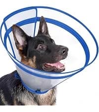 Dog Cone to Stop Licking — Clear Recovery Collar with Detachable Zipper — collection imagery