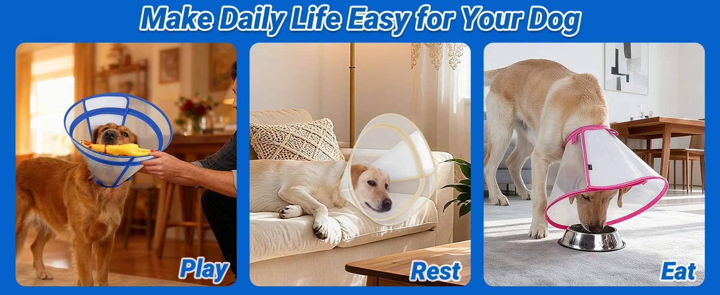 Dog Cone to Stop Licking — Clear Recovery Collar with Detachable Zipper — product details