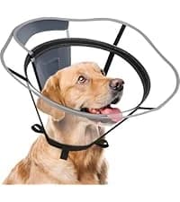 Dog Cone to Stop Licking — Clear Recovery Collar with Detachable Zipper — collection imagery