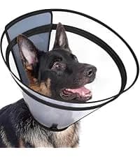 Dog Cone to Stop Licking — Clear Recovery Collar with Detachable Zipper — collection imagery
