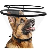 Dog Cone to Stop Licking — Clear Recovery Collar with Detachable Zipper — collection imagery