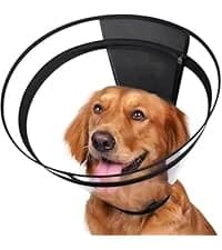 Dog Cone to Stop Licking — Clear Recovery Collar with Detachable Zipper — collection imagery