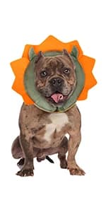 Inflatable Recovery Dog Collar — product details