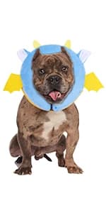Inflatable Recovery Dog Collar — product details