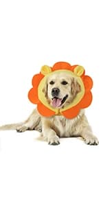 Inflatable Recovery Dog Collar — product details