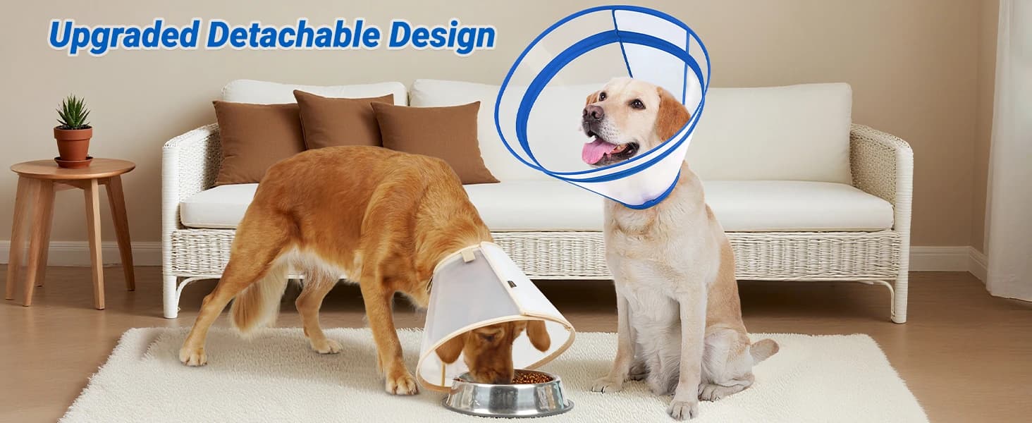 Dog Cone to Stop Licking — Clear Recovery Collar with Detachable Zipper — product details