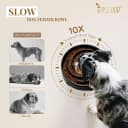 Slow Feeder Dogs Bowl for Large Medium Dogs