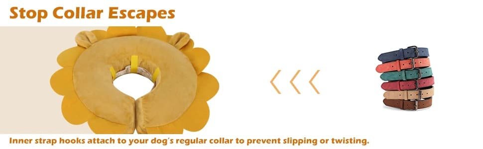 Inflatable Recovery Dog Collar — collection imagery
