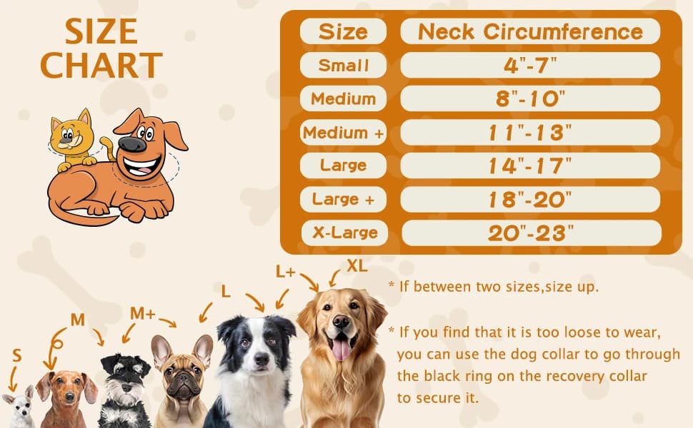 Inflatable Recovery Dog Collar — product details