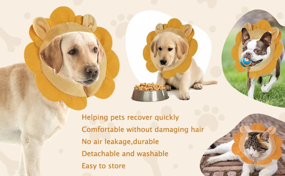 Inflatable Recovery Dog Collar — product details