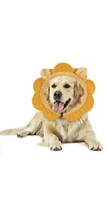 Inflatable Recovery Dog Collar — product details