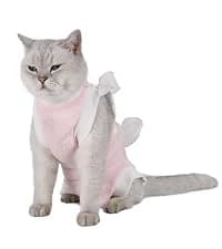 Adjustable Dog and Cat Cone — Soft Recovery Cat Cone Collar — collection imagery